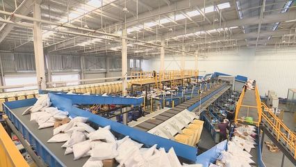 亳州 網絡技術助力花草茶“泡”出百億大產業