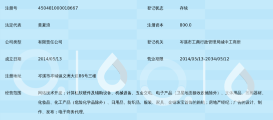 廣西壹元眾購網絡科技有限公司 網絡技術驅動的新型消費模式探索